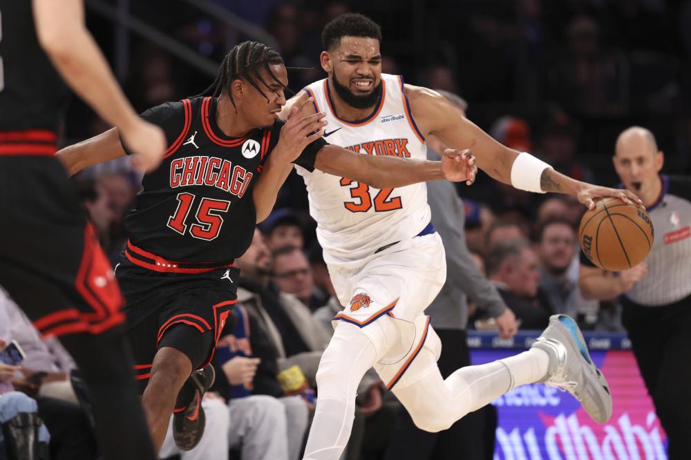 和浓厚的篮 和浓厚的篮